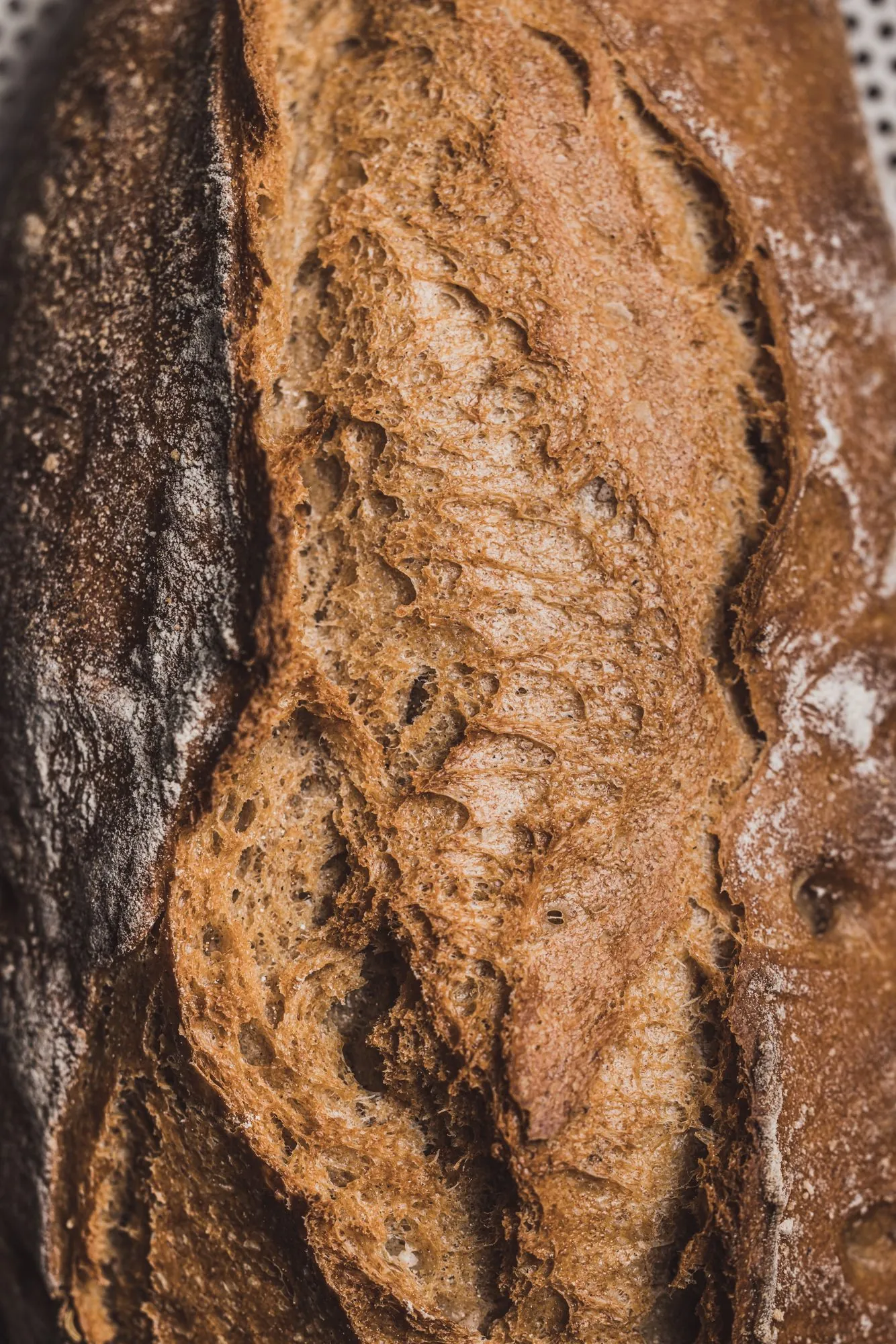 Nahaufnahme einer bemehlten Brotkruste, Brotschmiede